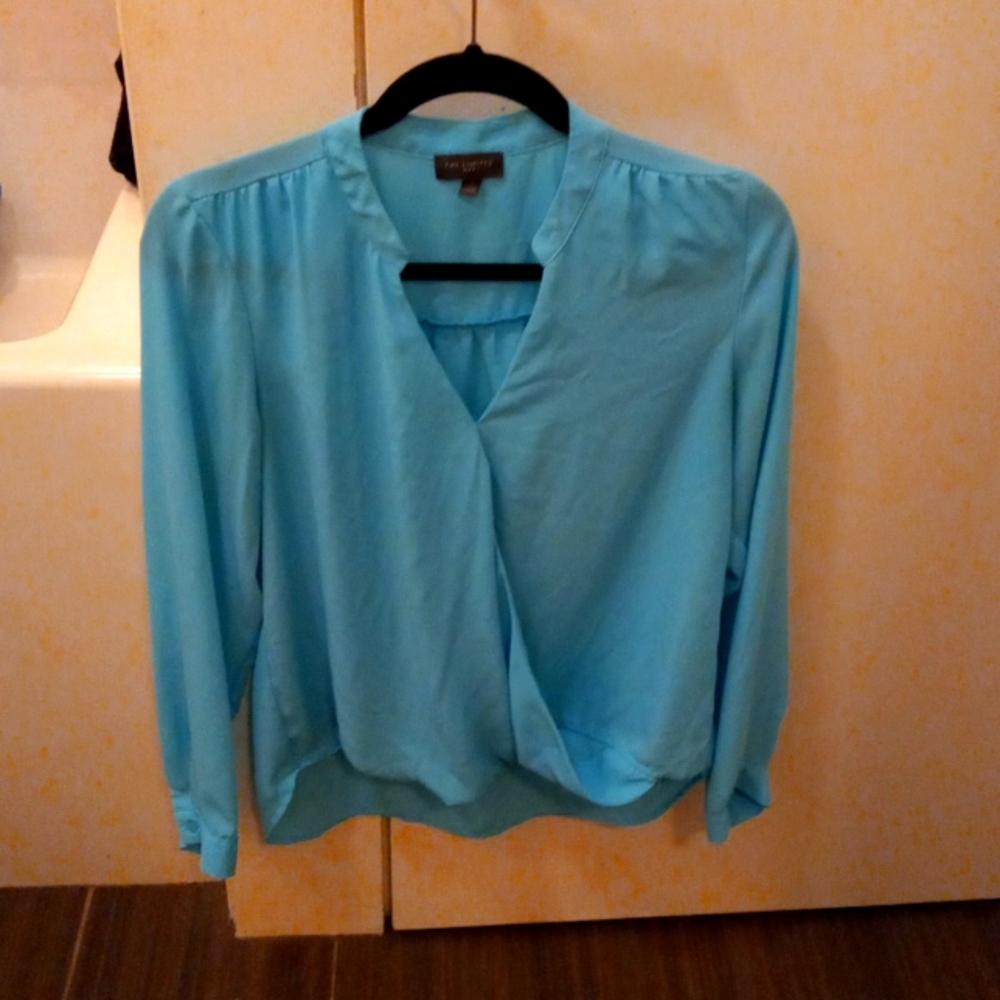 The Limited blouse in excellent condition